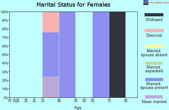 Zip code 99687 marital status for females