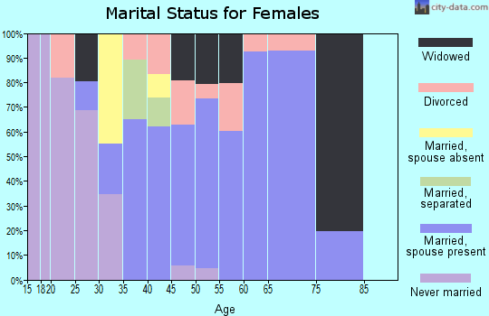 Zip code 99688 marital status for females