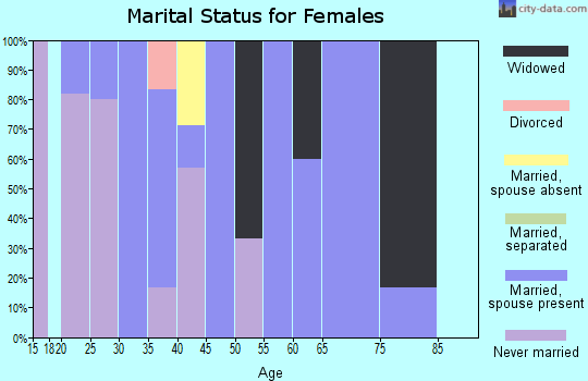 Zip code 99690 marital status for females