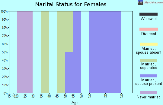 Zip code 99691 marital status for females