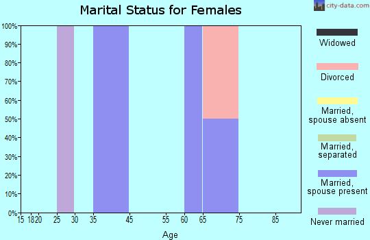 Zip code 99695 marital status for females
