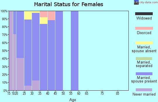 Zip code 99702 marital status for females