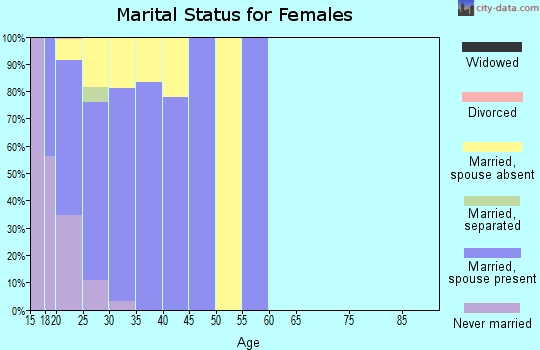 Zip code 99703 marital status for females