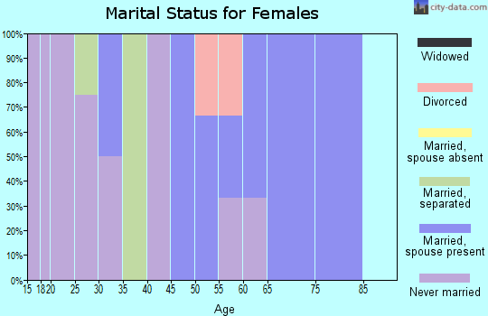 Zip code 99720 marital status for females