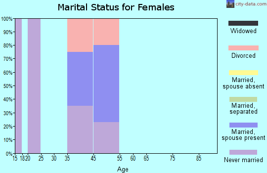 Zip code 99725 marital status for females