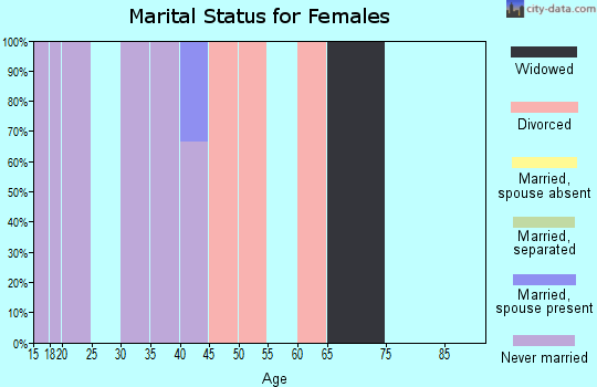 Zip code 99733 marital status for females