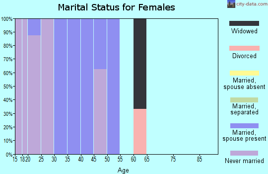 Zip code 99736 marital status for females