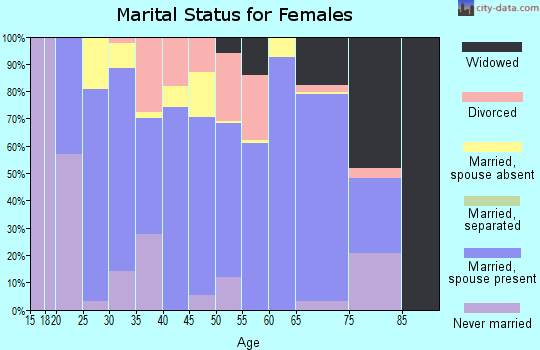 Zip code 99737 marital status for females
