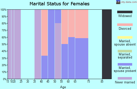 Zip code 99738 marital status for females