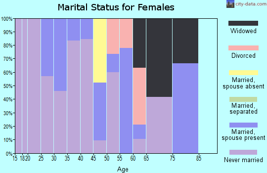 Zip code 99740 marital status for females
