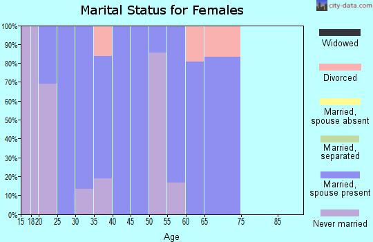 Zip code 99743 marital status for females