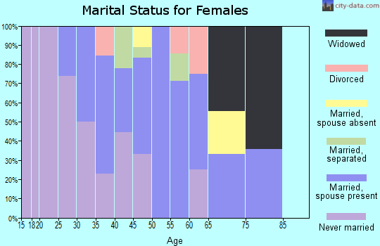 Zip code 99763 marital status for females