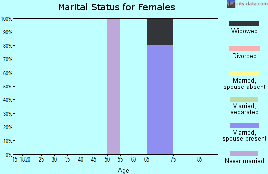 Zip code 99767 marital status for females