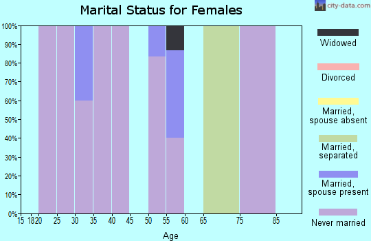Zip code 99781 marital status for females