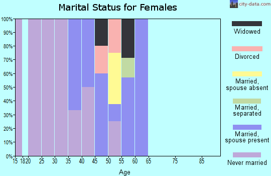 Zip code 99784 marital status for females