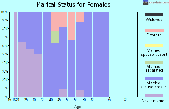 Zip code 99826 marital status for females