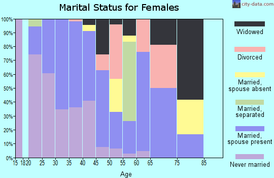 Zip code 99840 marital status for females