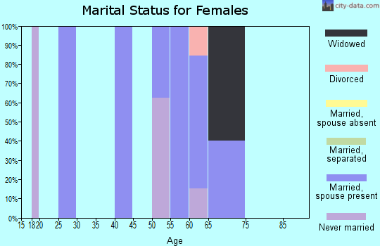 Zip code 99841 marital status for females