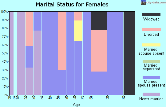 Zip code 99919 marital status for females