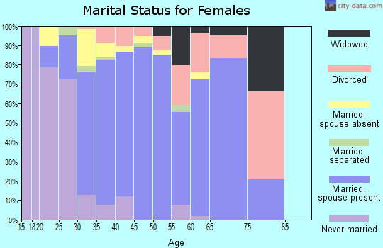 Zip code 99921 marital status for females