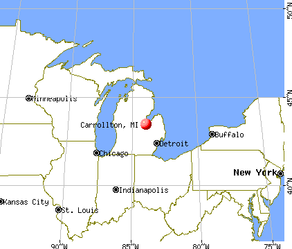 Carrollton, Michigan map