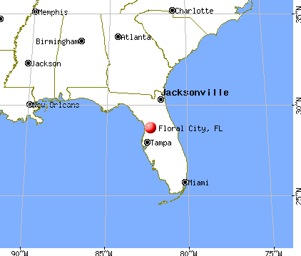 Floral City, Florida map
