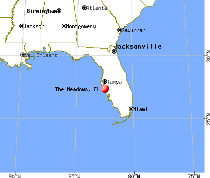 The Meadows, Florida map