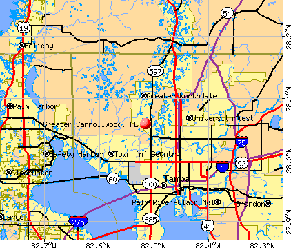 Greater Carrollwood, FL map