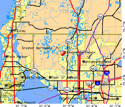 Greater Northdale, FL map