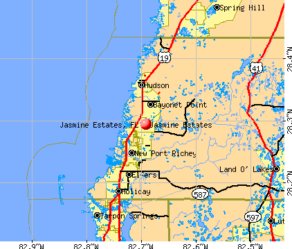 Jasmine Estates, FL map