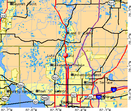 Lutz, FL map