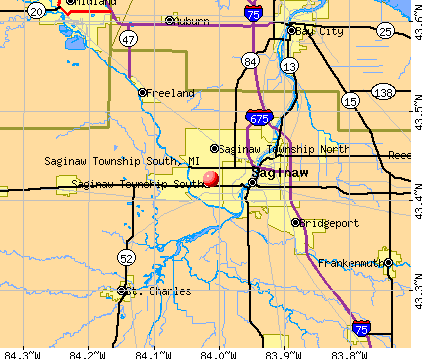 Saginaw Township South, MI map