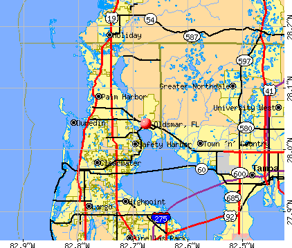 Oldsmar, FL map