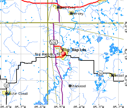 Big Rapids, MI map
