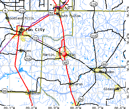 Martin, TN map