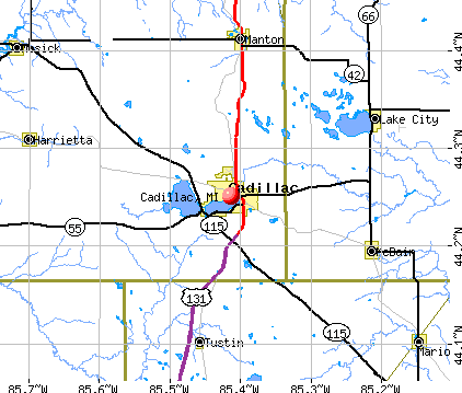 Cadillac, MI map