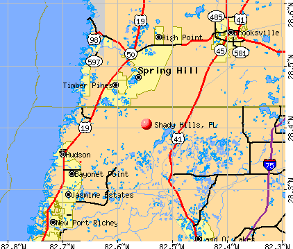 Shady Hills, FL map