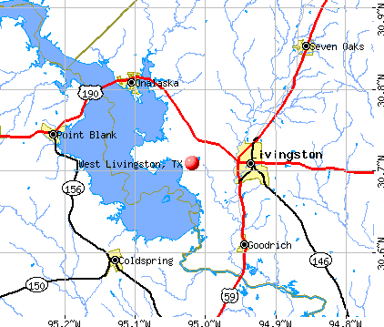 West Livingston, TX map