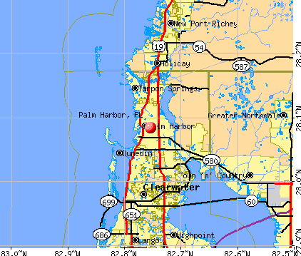Palm Harbor, FL map