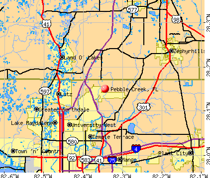 Pebble Creek, FL map
