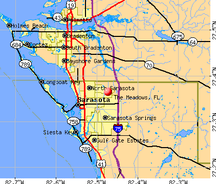 The Meadows, FL map