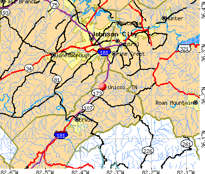 Unicoi, TN map