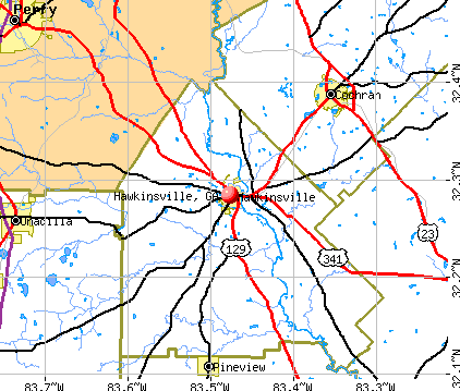 Hawkinsville, GA map