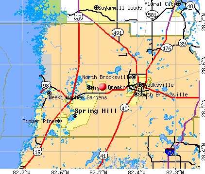 Brookridge, FL map