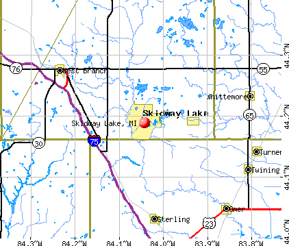 Skidway Lake, MI map