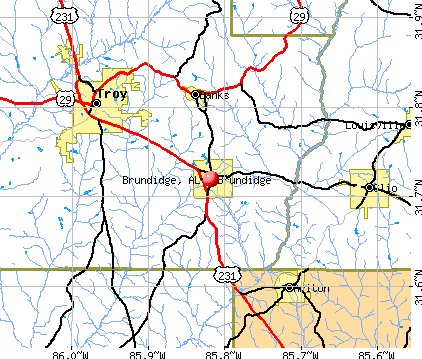Brundidge, AL map