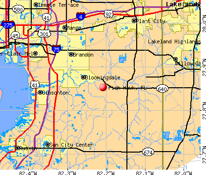 Fish Hawk, FL map