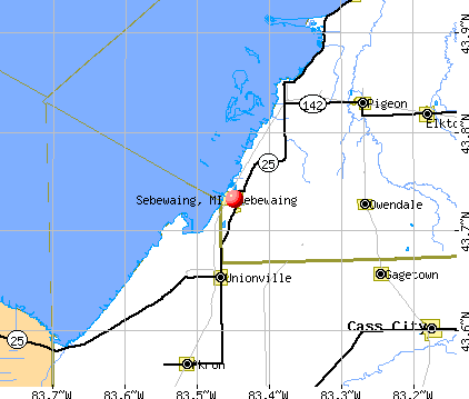 Sebewaing, MI map