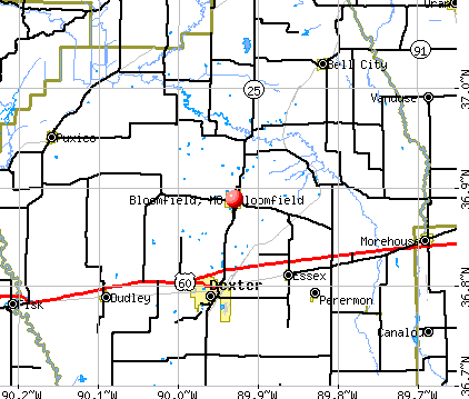 Bloomfield, MO map