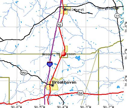 Wesson, MS map